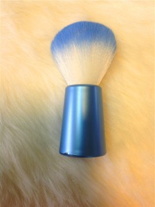 Blue Color Professional Hair Color Brushes (T011)